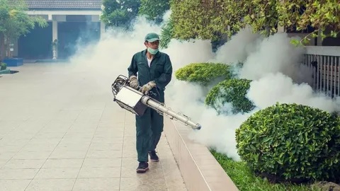 Mosquito Control Services