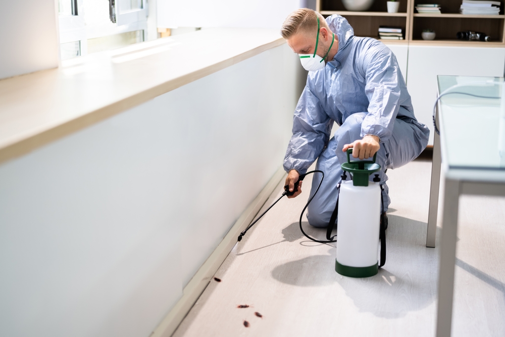 Preparing for Seasonal Pest Control: Your Easy Checklist